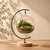 LuckyRunes DIY Glass Terrarium Kit with Live Moss & Mini Tools