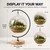LuckyRunes DIY Glass Terrarium Kit with Live Moss & Mini Tools