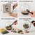 LuckyRunes DIY Glass Terrarium Kit with Live Moss & Mini Tools