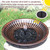 12.3" Solar Bird Bath Bowl,Bird Bath Fountain,Bird Bath for Outside(Copper)