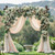 Climbing Plant Support Structure Wooden Wedding Arch – 7.48FT Square Wood