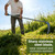YOUWEIAN 12.6“ Scythe Adjustable 50" Long Handle Grass Sickle 3-Section Detachable Weed Cutter with 12.6" Stainless Steel Blade Manual Scythe for Weeding Yard Garden & Vine Cutting
