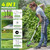 Weed Eater 21V Cordless Weed Wacker, 4-in-1 Trimmer with 2x4.5Ah Batt & Brushless