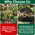 2Pcs Pop Up Garden Netting Bug and Shade Cover,Plant Sun Shade Netting Tent