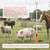 BODISEINT Rechargeable Cattle Prod with LED Light – 38 Inch Waterproof Electric Livestock Prod for Cows, Pigs, Goats, Dogs – Retractable Shaft, Lightweight, Woman Self Defense Tool