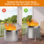 19-27 inch Fire Pit Stand, Stainless Steel Retractable Adjustable Base, Firepit Stand for Solo Stove Bonfire Ranger Yukon, Sturdy, Easy to Install, Accessories for Solo Stove