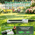 Lizjarol Heavy Duty Oscillating Sprinkler for Yard, Metal Base, 19 Nozzles