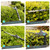 XSSIVE 20V Cordless Telescopic Pole Hedge Trimmer Long Reach Extendable Hedge Cutter - 1x 2.0AH Battery, Shoulder Strap, Fast Charger - for Hedges, Branches