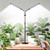Nanolux Full Spectrum Grow Light for Indoor Plants for Desk, Seedlings