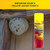 Enforcer Wasp and Yellow Jacket Foam V - 16 oz (Case of 12)