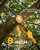 2-in-1 Cordless Pole Saw & Handheld Chainsaw