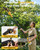 2-in-1 Cordless Pole Saw & Handheld Chainsaw