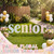 Marsui 6 Pcs Senior Yard Signs, First Day of School Decorations