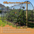 ORIVOGAS Heavy Duty Bird Netting for Chicken Coop, 19.5 x 19.5 ft 0.8”Mesh HDPE Chicken Netting for Hawks with Reinforced Edges, Durable & Reusable Poultry Netting for Garden Raised Beds & Fruit Trees