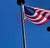 Service First Stainless Steel Flag Tether and Weight with NEW Reinforced Weight