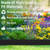 AggFencer Landscape Edging 4in Tall Garden Edging Borders No Dig 50ft