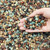 FANTIAN Succulent Cactus Soil Potting Mix, 10 lbs Pebbles for Plants