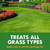 Spectracide Lawn Fertilizer 30-0-0, 2-in-1 Formula 32 Oz, 3 Pack
