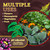FoxFarm Happy Frog Potting Soil with 2 Plant Tags, 12 Quart (2 Pack)