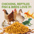Larvevo 10LB Non-GMO Black Soldier Fly Larvae for Chickens 45% Protein High Calcium Chicken Feed Alternative to Mealworms, Dried BSF Larvae Chicken Treats for Laying Hens Ducks Birds Reptiles