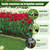 Soaker Hose 100FT, Thickened Flat Soaker Hoses for Garden 100 ft 2 pack