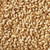 Happy Wings 10LB Shelled Peanuts Bird Food, No Grow Seeds, 100% Edible