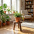 Delma Wood Plant Stands 5-Pack Indoor, Plant Stool, Dark Brown