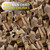 Old Potters Smoker Chunks, 12-14 lbs for Grilling, Smoking, and Wood Fire Cooking ~ 2 x 3 Inches, (Oak, 790 Cu in.)