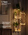 Bamworld Hanging Shelves with Grow Light Plant Hanger Indoor Window Plant