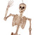 JOYIN 5.6 FT Halloween Posable Life Size Skeleton, Full Body Realistic Bones with Movable Joints, Giant Skeletons Halloween Decorations for Indoor Outdoor Haunted House Props, Spooky Scene Party Decor