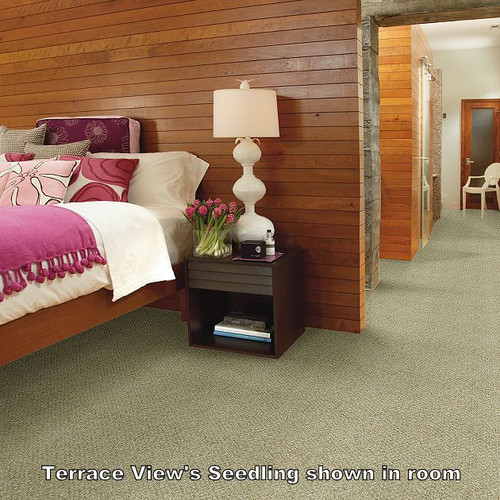TERRACE VIEW by Shaw - Indoor/Outdoor Berber Carpet - 12' Wide x Various Lengths TERRACE VIEW by Shaw - Indoor/Outdoor Berber Carpet - 12' Wide x Various Lengths