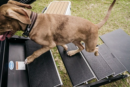 SeaDek RV Step Covers (Tetrapod) 