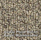 CEDAR POINT by Shaw - Indoor/Outdoor Berber Carpet - 12' Wide x Various Lengths