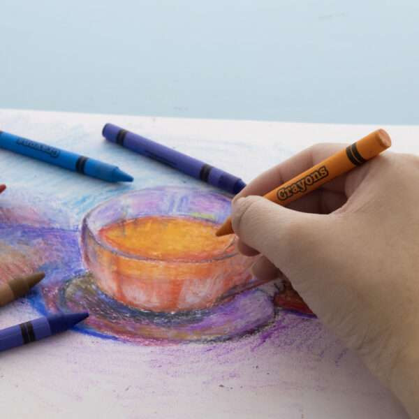 48 ct. Premium Crayons 24 Packs | Geyer Instructional Products