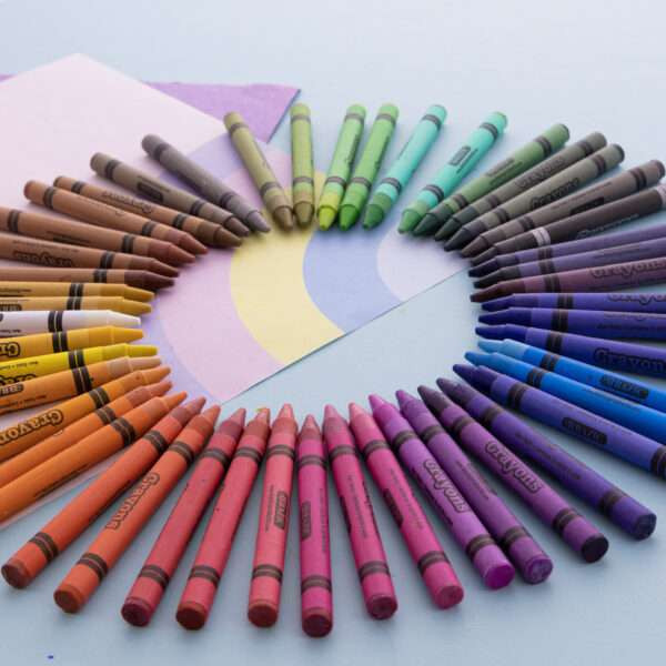 48 ct. Premium Crayons 24 Packs | Geyer Instructional Products