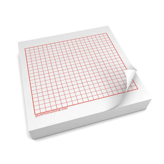 Graphing 3M Post It Notes - 20 x 20 Square Grid 151220