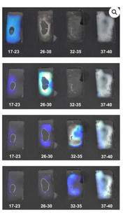 STEM Investigations: Make Your Own Liquid Crystal Thermometer 193332