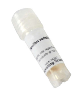 Aldon: Bacillus Subtilis Freeze Dried Culture- W/O Transfer Media 193044