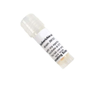 Aldon: E. COLI JM101 FREEZE DRIED CULTURE W/O TRANSFER MEDIA 193054