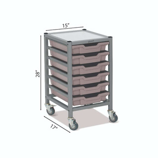 Dynamis Low Single Cart Silver Frame with 3" 2 Braked Casters & Optional Feet and 6 Shallow 3 inch deep Light Gray Trays. Overall Dimensions: 14.6" x 16.6" x 28.2" 221588