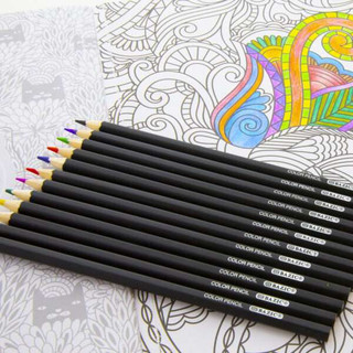 12 Colored Pencils Designer Series 24 Pack 223746