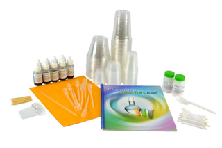 CHEMISTRY'S COLORFUL CLUE ACS KIT 198750 CHEMISTRY'S COLORFUL CLUE ACS KIT 198750