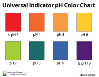 Universal Indicator pH Color Chart – Pack of 30 198950