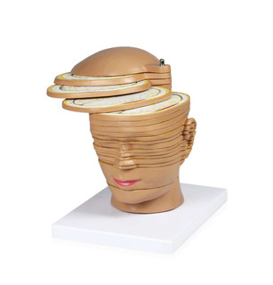 Head and Brain Horizontal Slides Model 201630