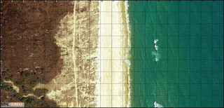 Environmental Mat: Ocean Shore and Dunes w/Grid, FLL Size, 44.75" x 92.75" 199060 Environmental Mat: Ocean Shore and Dunes w/Grid, FLL Size, 44.75" x 92.75" 199060