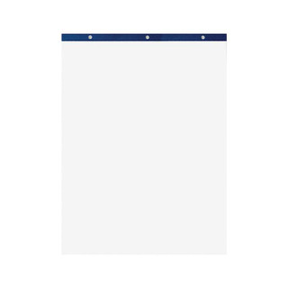 Easel Pads- Plain, Set of 4 659140 Easel Pads- Plain, Set of 4 659140