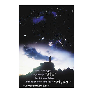 Ask Why Poster 953222