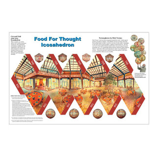 Food for Thought Icosahedra 980010