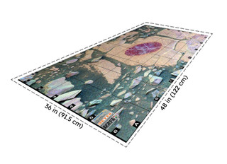 Mars Robotics Grid Mat, Mars Minerals, 3' x 4' 207504