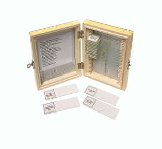 Biology Prepared Slide, Set of 16 209054 Biology Prepared Slide, Set of 16 209054